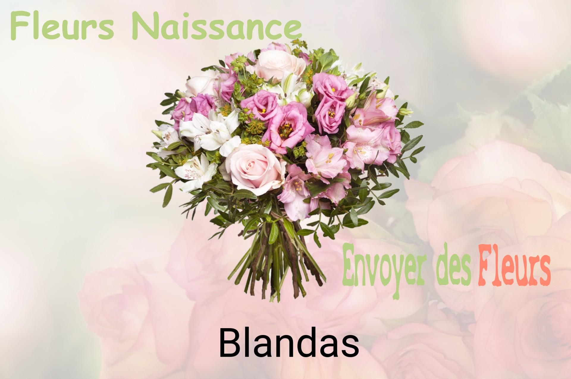 Bouquet de fleurs de naissance livré à Blandas